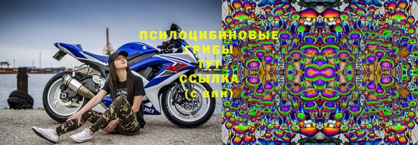 амф Белокуриха