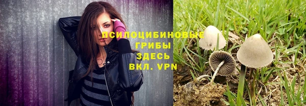 apvp Белоозёрский