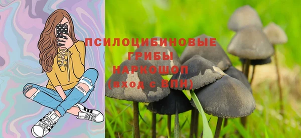 амф Белокуриха