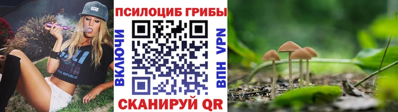 blacksprut ССЫЛКА  Первомайск  Псилоцибиновые грибы Psilocybe 